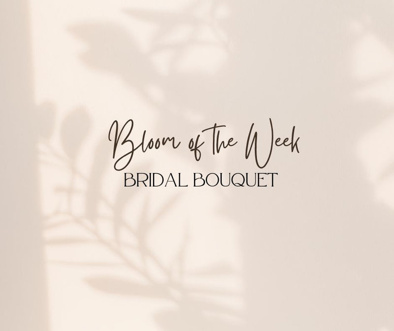 Bloom of the Week - Bridal Bouquet
