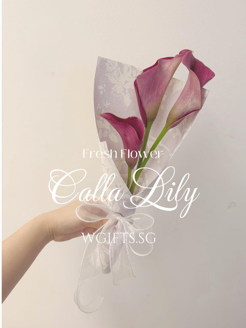 Calla Lily Stalks