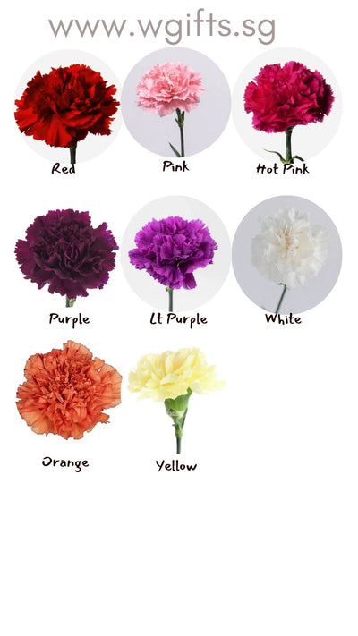 Signature Carnations Bouquet