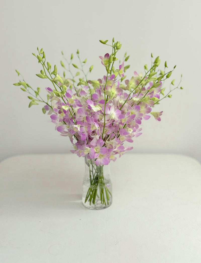 Jar Vase Arrangement - Orchids