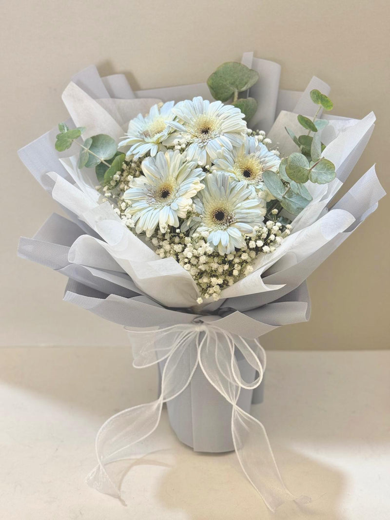 Blooms of the Week - Gerbera