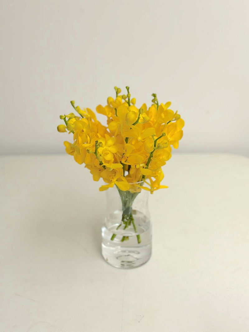 Jar Vase Arrangement - Orchids