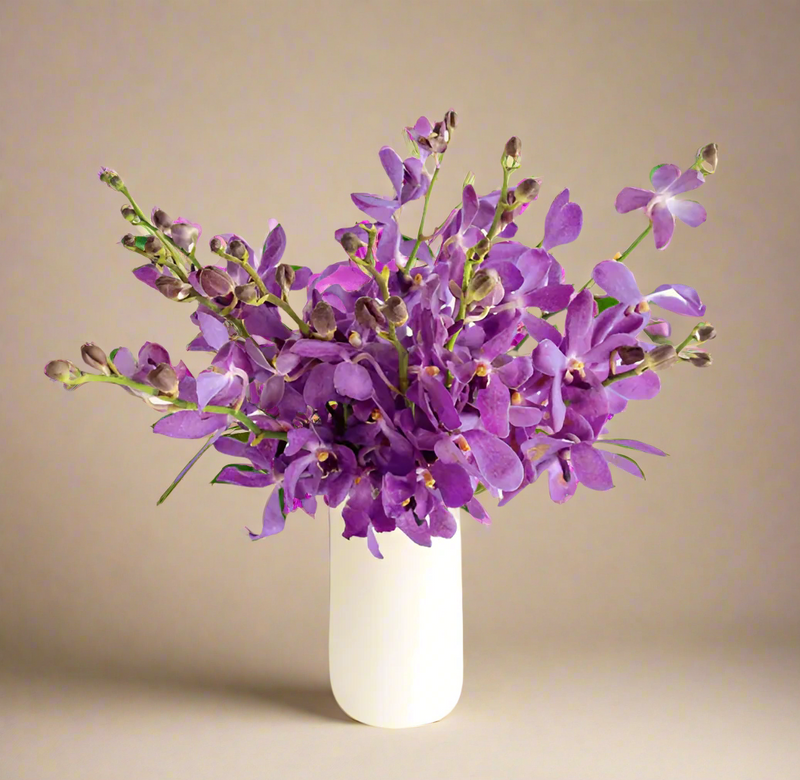 Jar Vase Arrangement - Orchids